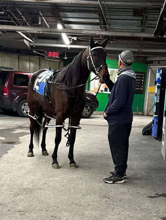 Harness Racing